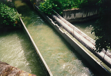 Foto der Zirbelnussbrücke